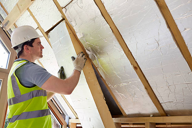 Best Insulation Installation Services in Oral City, FL